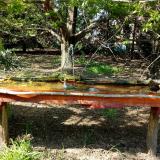 photo 2021-04-24 15-41-22