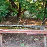 photo 2021-08-12 06-20-21