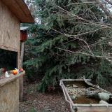 photo 2021-12-18 14-15-54