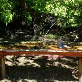 photo 2021-05-10 10-32-17