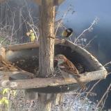 photo 2019-12-29 14-53-16