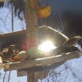 photo 2019-01-27 10-11-00