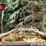 photo 2023-10-17 13-30-51