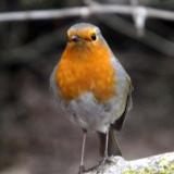 photo 2022-01-24 14-57-23 002