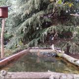 photo 2023-10-10 17-29-36