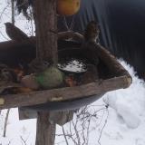 photo 2019-01-27 11-36-46