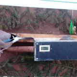 photo 2021-03-01 06-23-12