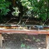 photo 2021-07-22 09-33-59