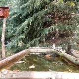 photo 2023-10-11 11-26-22