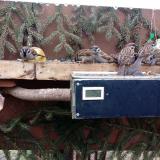 photo 2021-02-08 09-40-13