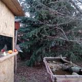 photo 2021-12-20 07-29-38