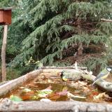 photo 2023-10-20 13-30-38