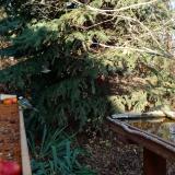 photo 2021-11-12 14-09-35