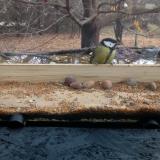 photo 2021-11-10 10-08-00