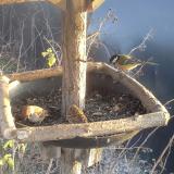 photo 2019-12-27 14-55-03