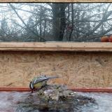 photo 2022-01-20 09-33-47