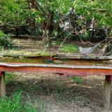 photo 2021-04-29 17-45-30