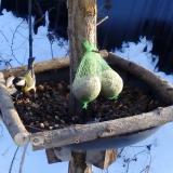 photo 2019-01-09 14-46-07