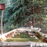 photo 2023-10-04 08-49-50