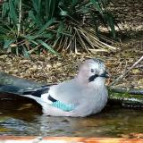 photo 2021-09-24 15-24-31 szajko