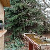 photo 2021-11-19 12-16-51