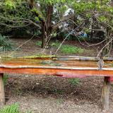 photo 2021-04-19 12-45-15