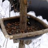 photo 2019-01-08 12-30-56