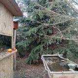 photo 2021-12-26 14-31-27