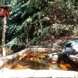 photo 2023-10-16 11-44-31