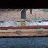 photo 2021-11-28 15-18-21