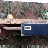 photo 2021-02-10 15-23-21