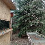 photo 2022-01-11 13-06-50