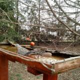 photo 2022-03-17 10-12-36