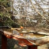 photo 2022-03-20 15-13-01