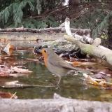 photo 2023-10-09 15-39-09