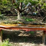 photo 2021-04-24 15-41-44