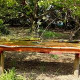 photo 2021-04-25 14-06-30