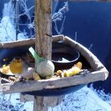 photo 2019-01-21 10-36-12