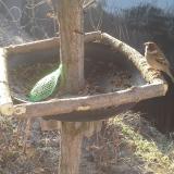 photo 2019-02-16 08-37-09