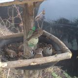 photo 2019-02-11 07-53-55