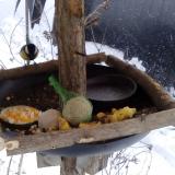 photo 2019-01-22 15-14-19