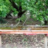 photo 2021-05-20 14-45-45