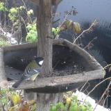 photo 2019-12-02 07-42-46