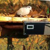 photo 2021-02-22 15-56-49