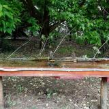 photo 2021-05-15 13-54-08