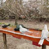 photo 2021-03-25 09-25-06