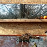 photo 2022-01-22 11-57-28