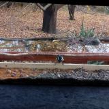 photo 2021-11-08 13-25-09