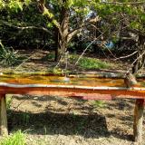 photo 2021-04-21 09-56-21