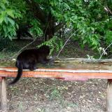 photo 2021-05-24 12-20-26